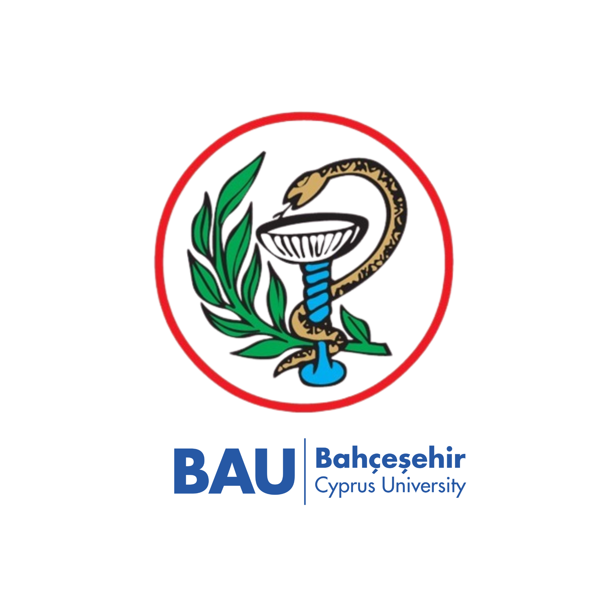 Bahçeşehir Cyprus University